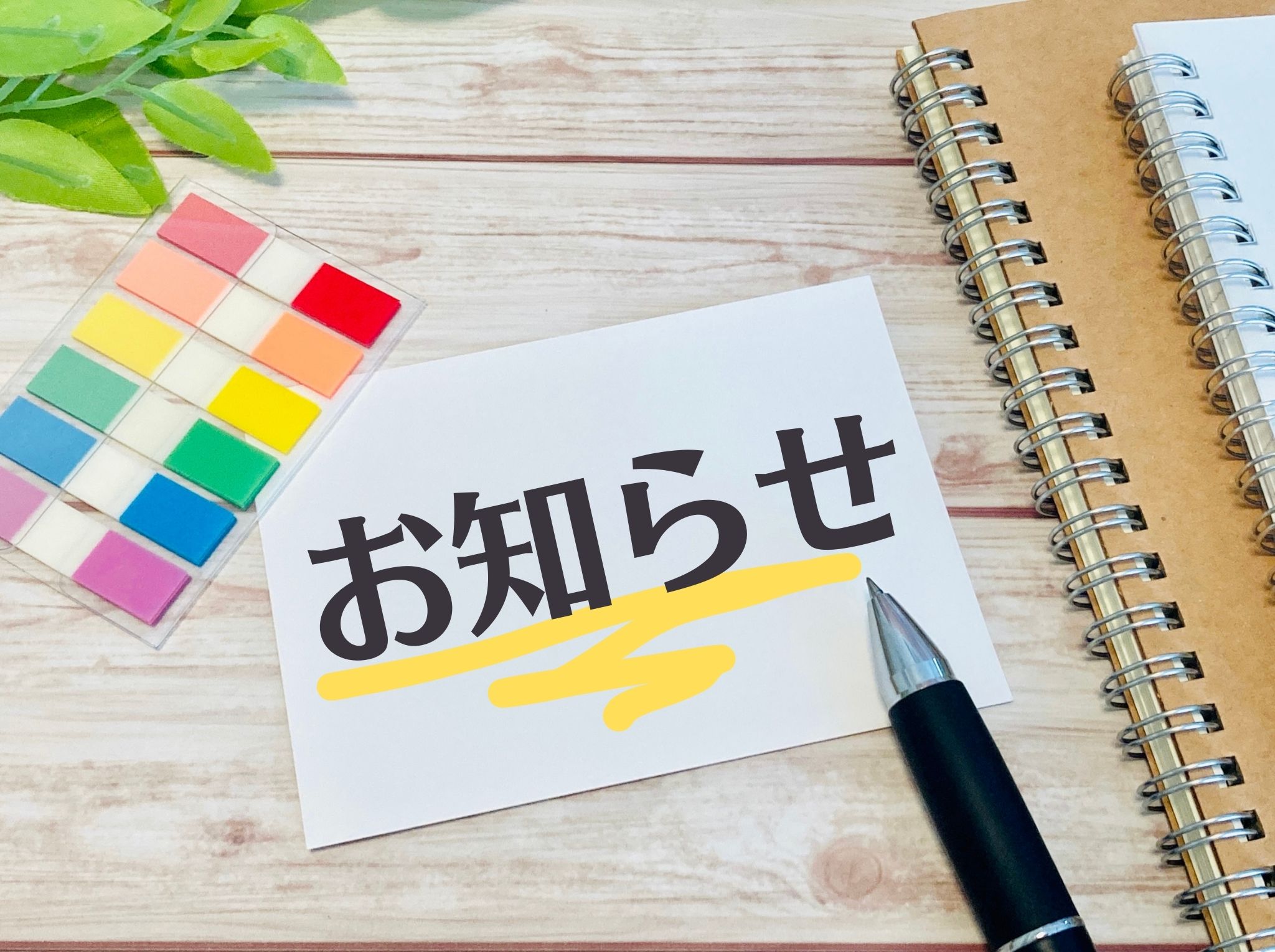 ホームページを開設しました。